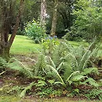 Cornode